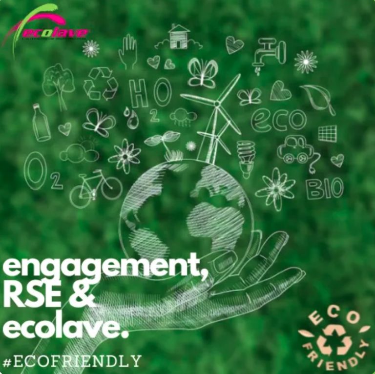 Franchise Ecolave