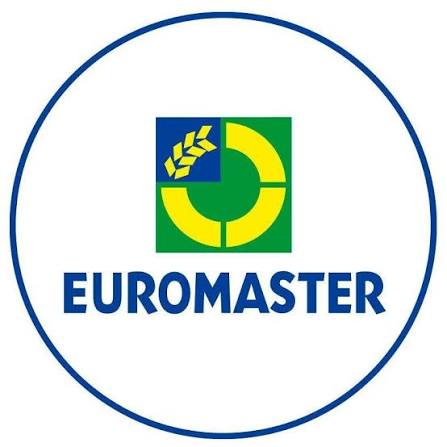 Logo de EUROMASTER