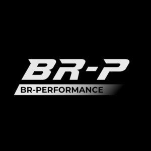 Logo de BR-PERFORMANCE