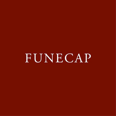 Logo de FUNECAP GROUPE